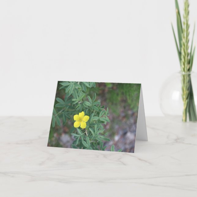 Cartes Pour Fêtes Annuelles Tundra Rose - 4" x 5.6" Notecard (Devant)