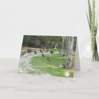 Cartes Pour Fêtes Annuelles Turquie sauvage