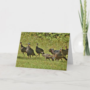 Cartes Pour Fêtes Annuelles Turquie sauvage, couleurs du Camouflage