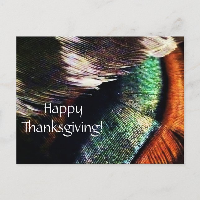 Cartes Pour Fêtes Annuelles Turquie Tail Feathers Art Bon thanksgiving photo (Devant)