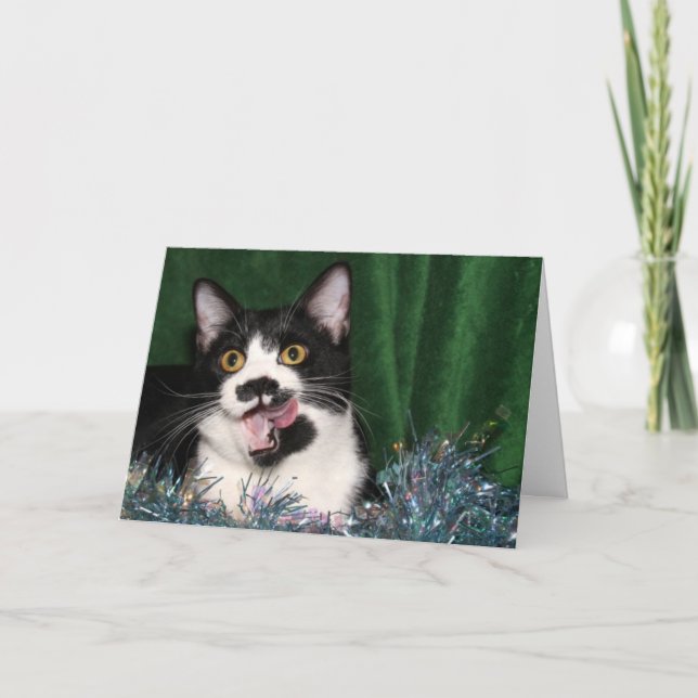 Cartes Pour Fêtes Annuelles Tuxedo kitty Christmas (Devant)