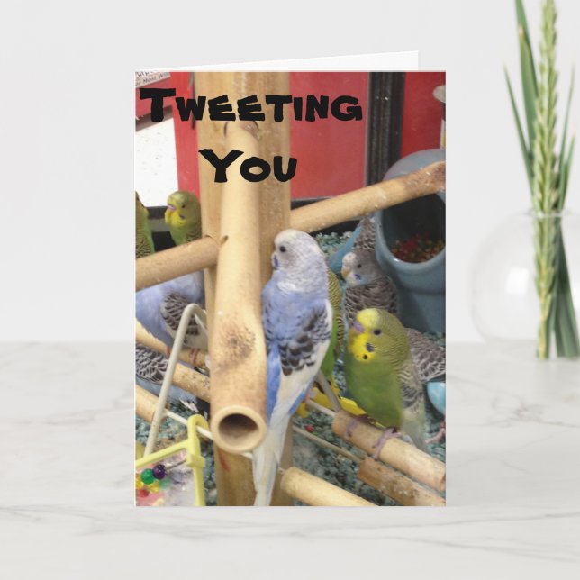 CARTES POUR FÊTES ANNUELLES "TWEETER" POUR DIRE AVOIR UN HEUREUX PÂQUES (Devant)