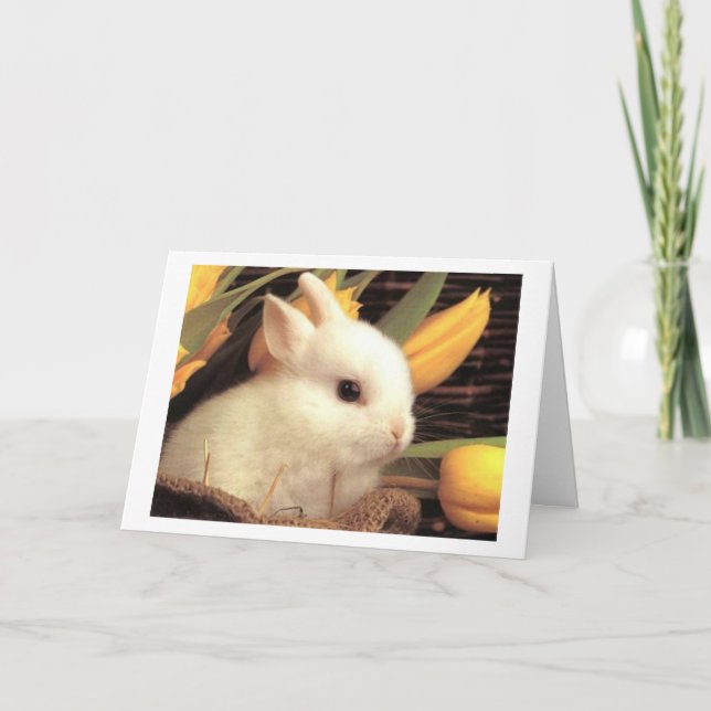 CARTES POUR FÊTES ANNUELLES TWIN-CE BUNNY DIT HAPPY EASTER (Devant)