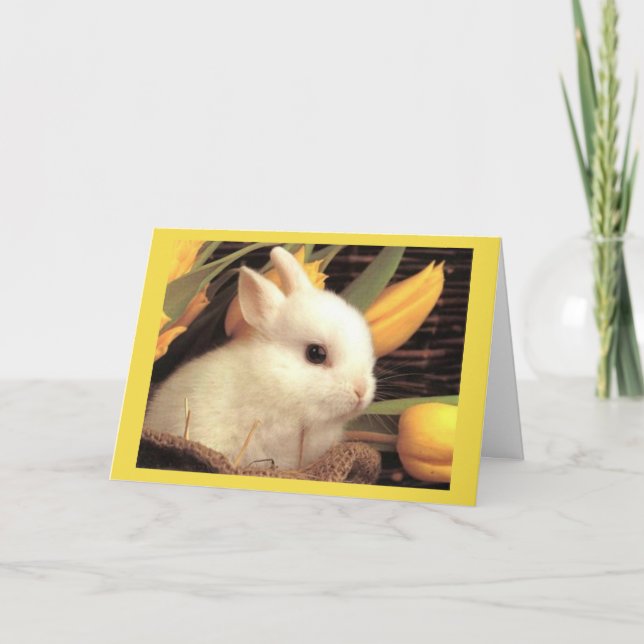 CARTES POUR FÊTES ANNUELLES ***TWIN*** - HEUREUX PÂQUES / HEUREUX PRINTEMPS (Devant)