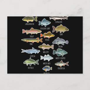 Cartes Pour Fêtes Annuelles Types D'Espèces De Poissons D'Eau Douce Pêche