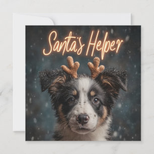 Cartes Pour Fêtes Annuelles Un adorable chiot Border Collie en assistant du Pè