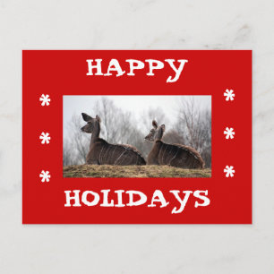 Cartes Pour Fêtes Annuelles Un ami des cerfs, de bonnes vacances