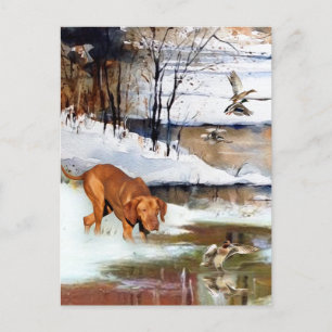 Cartes Pour Fêtes Annuelles Un aristocrate polyvalent dans la Vizsla hongroise