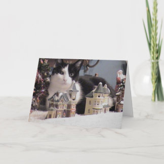 Cartes Pour Fêtes Annuelles Un Boo Boo Noël