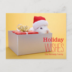 Cartes Pour Fêtes Annuelles Un cadeau enveloppé et un lapin avec Père Noël