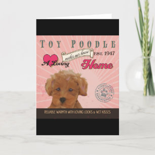 Cartes Pour Fêtes Annuelles Un caniche de jouet affectueux fait notre maison