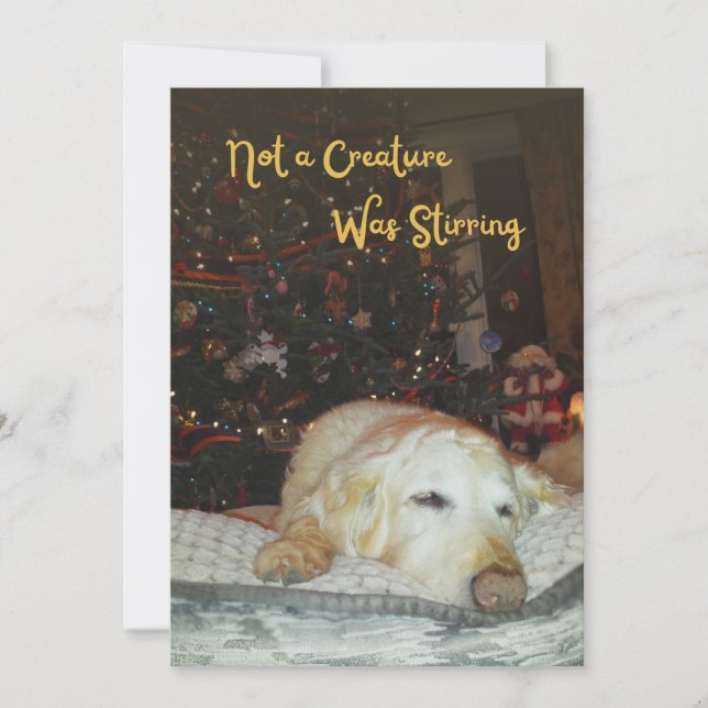 Cartes Pour Fêtes Annuelles Un chien endormi pas une créature était Stirring N (Devant)
