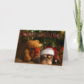 Cartes Pour Fêtes Annuelles Un Chien Est Pour La Vie Et Pas Seulement Pour Noë