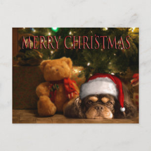 Cartes Pour Fêtes Annuelles Un Chien Est Pour La Vie Et Pas Seulement Pour Noë