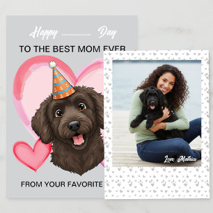 Cartes Pour Fêtes Annuelles Un chien portugais mignon pour une occasion spécia