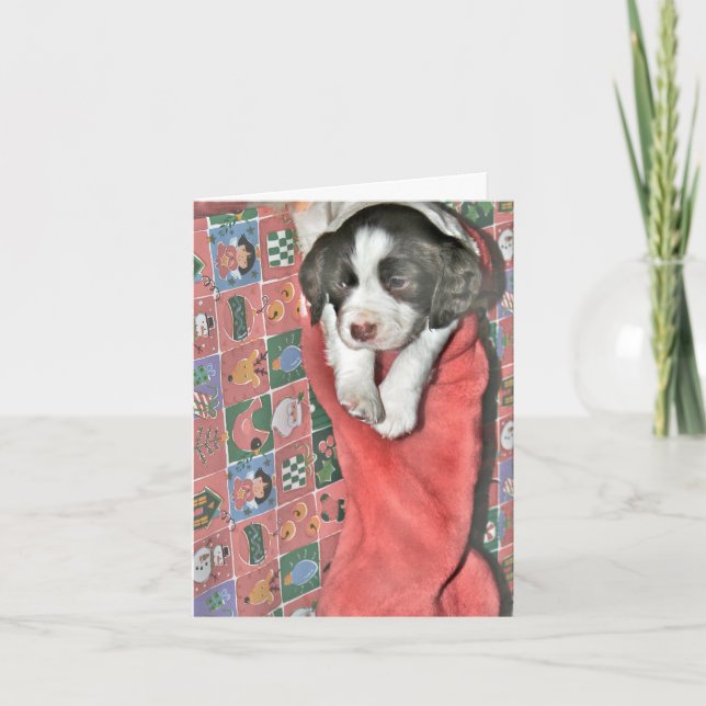 Cartes Pour Fêtes Annuelles Un Chiot Pour Noël (Devant)