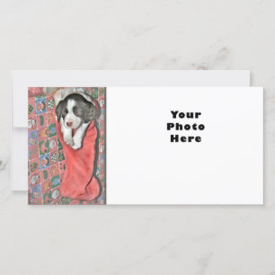 Cartes Pour Fêtes Annuelles Un Chiot Pour Noël