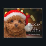 Cartes Pour Fêtes Annuelles Un gros plan, d'un caniche à jouet rouge<br><div class="desc">Un caniche à jouets portant un chapeau de Père Noël.</div>