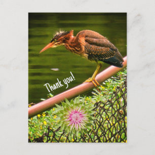 Cartes Pour Fêtes Annuelles Un héron vert