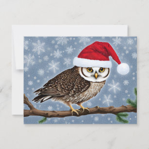 Cartes Pour Fêtes Annuelles Un hibou de Noël sur un Arrière - plan bleu