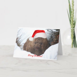 Cartes Pour Fêtes Annuelles Un Joyeux Noël de wombat de vers le bas dessous
