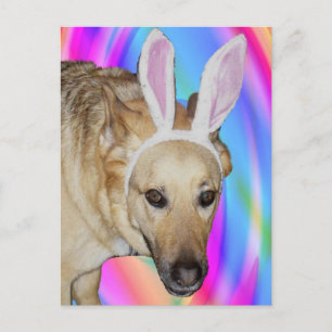 Cartes Pour Fêtes Annuelles Un lapin de Pâques ?