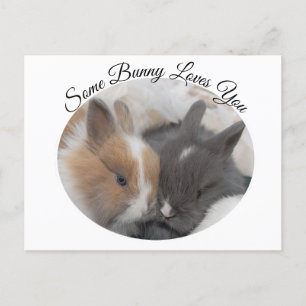 Cartes Pour Fêtes Annuelles Un Lapin T'Aime