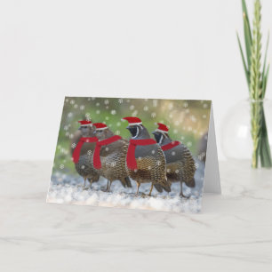 Cartes Pour Fêtes Annuelles Un Noël de caille