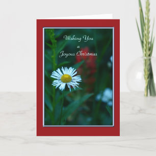 Cartes Pour Fêtes Annuelles Un Noël Joyeux, Fête Blanche - Aucun nom