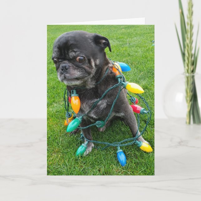 Cartes Pour Fêtes Annuelles Un Noël sans griffes (Devant)