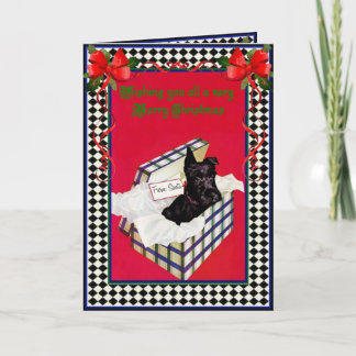 Cartes Pour Fêtes Annuelles Un Noël Schnauzer