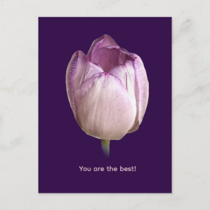 Cartes Pour Fêtes Annuelles Un seul bourgeon de tulipe violet et blanc posé
