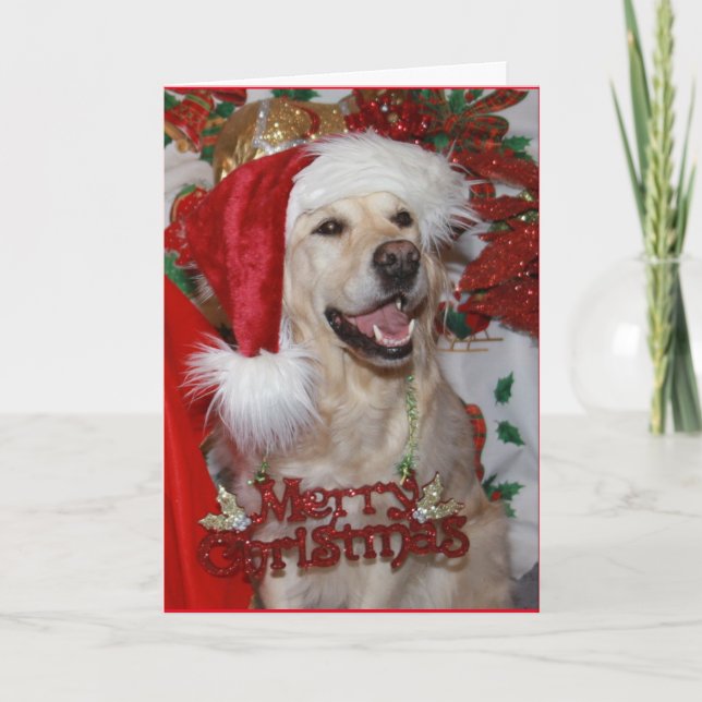 Cartes Pour Fêtes Annuelles Un très heureux "Christmas" Golden Retriever (Devant)