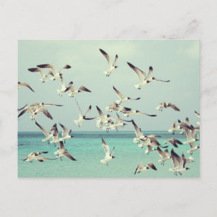 Cartes Pour Fêtes Annuelles Un troupeau de mouettes volant au-dessus de l'océa