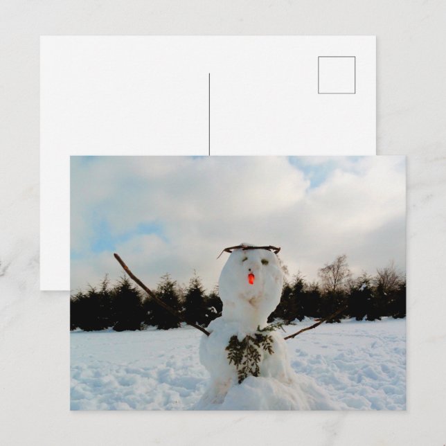 Cartes Pour Fêtes Annuelles Un vrai bonhomme de neige et une photo de paysage  (Devant / Derrière)
