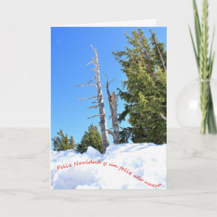 Cartes Pour Fêtes Annuelles Una escena de inverno para la Navidad. Español. 2