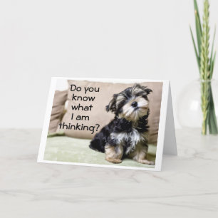 CARTES POUR FÊTES ANNUELLES "UNE JOLIE NOËL POUR VOUS" LE PLUS IMPORTANT !