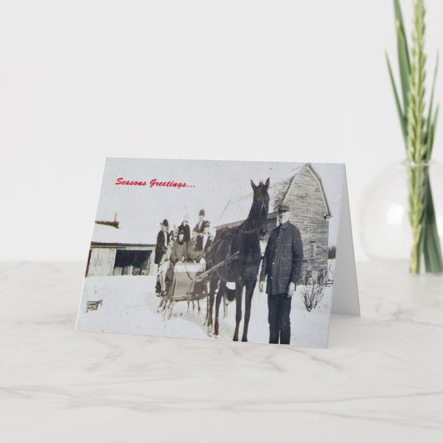 Cartes Pour Fêtes Annuelles Une "mule" Sleigh ouvert (Devant)