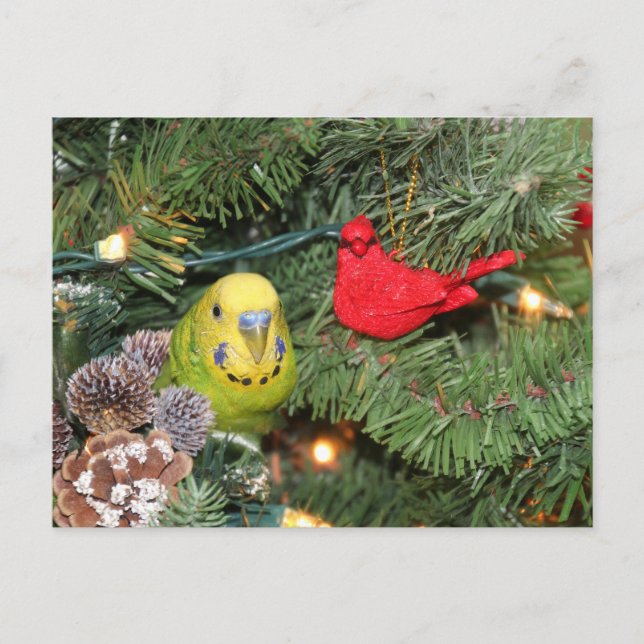 Cartes Pour Fêtes Annuelles Une perruque dans un arbre de Noël (Devant)
