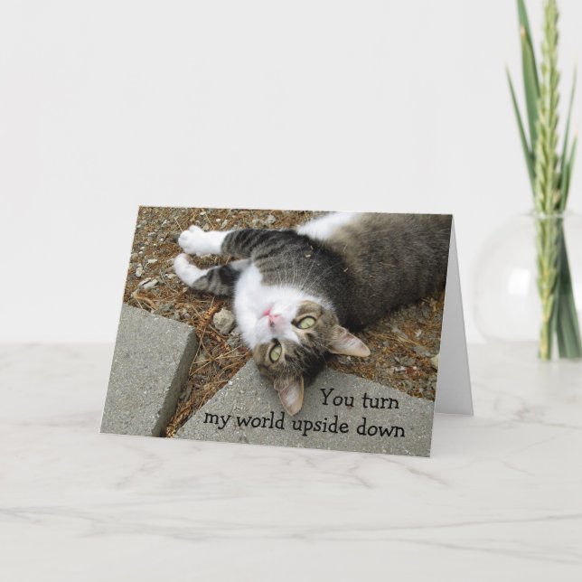 Cartes Pour Fêtes Annuelles Upside Down World Chat Valentine's Day Card (Devant)