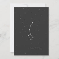 Ursa Minor, Constellation 'Le Petit Ours'