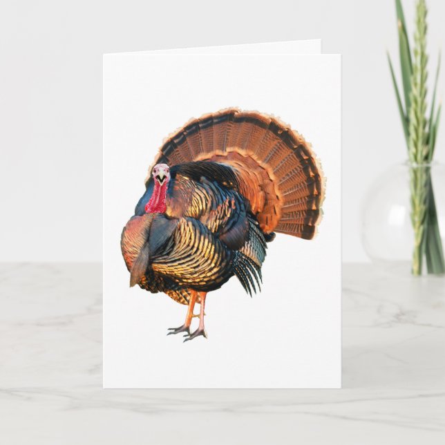 Cartes Pour Fêtes Annuelles Va T'En Faire (Devant)