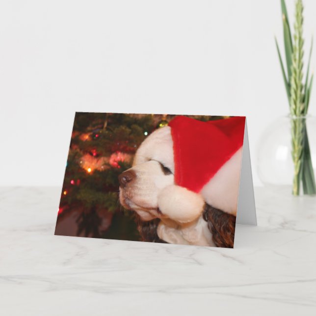 Cartes Pour Fêtes Annuelles Vacances (Devant)