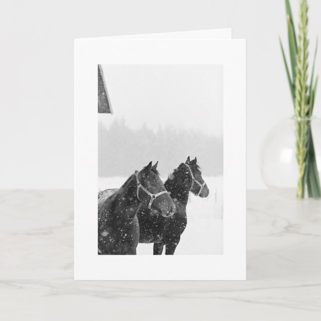Cartes Pour Fêtes Annuelles Vacances Chevaux de Neige Noël Equine Noël (Devant)