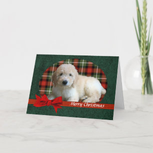 Cartes Pour Fêtes Annuelles Vacances de Noël de GoldenDoodle personnalisables