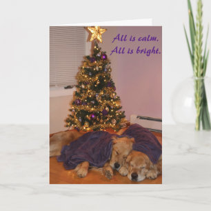 Cartes Pour Fêtes Annuelles Vacances Golden Retriever paisible