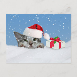 Cartes Pour Fêtes Annuelles Vacances, Kitten à Santa Hat