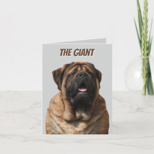 Cartes Pour Fêtes Annuelles Vacances Mastiff Mastiff Anglais