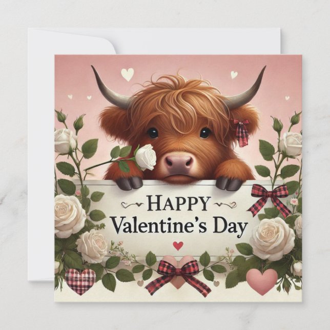 Cartes Pour Fêtes Annuelles Vache de Highland Valentine avec des roses blanche (Devant)