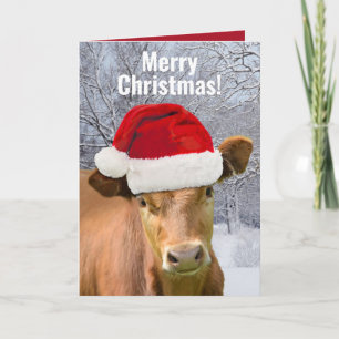 Cartes Pour Fêtes Annuelles Vache en chapeau de Père Noël - Joyeux Noël, Bonne